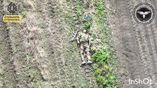 Russian playing dead gets his CAP PEELED by Ukranian drone.