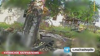 Yeah, a shitty tree isn't going to save you.