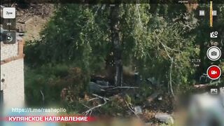 Yeah, a shitty tree isn't going to save you.