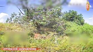 Minus 8 Ukrainian special forces.