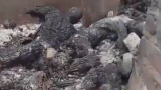 Villagers Were Locked In Building And Set On Fire By Boko Haram In Nigeria