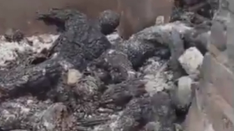 Villagers Were Locked In Building And Set On Fire By Boko Haram In Nigeria