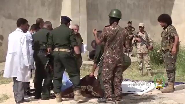 Classic Executions of criminals and murderers in Yemen