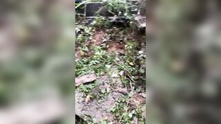 While clearing weeds, residents discovered a human remains