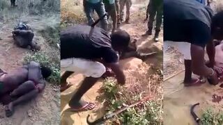 Chopped Up in Africa