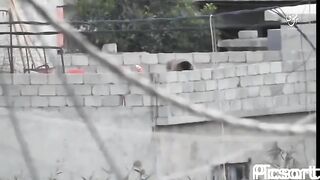 Sniper Compilation