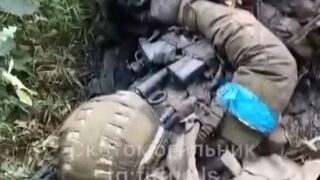 Colombian merc films his dead friend + Translated
