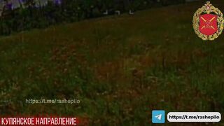 Ukrainians vs Drones