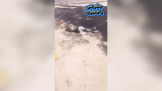 Group Of RSF Fighters Eliminated By Sudan Army