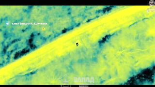 Destruction of Ukrainian incursions.