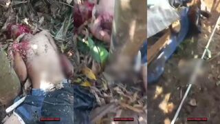 three scavengers lose
