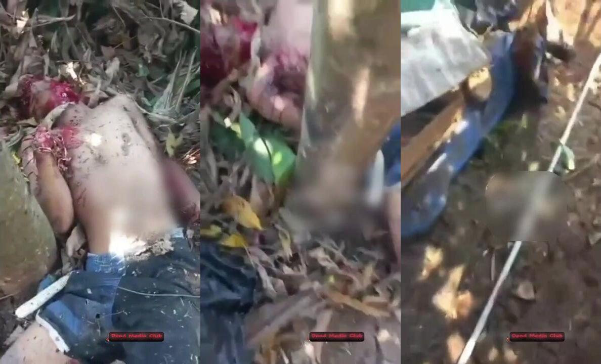 three scavengers lose