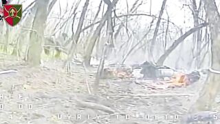 Dead Russians by 129th Brigade.