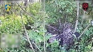Dead Russians by 57th Brigade.