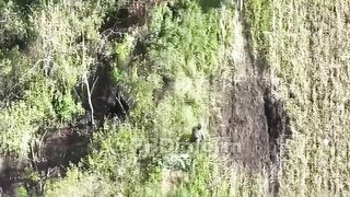Failed Ukrat assault (with combat vehicles and tanks)