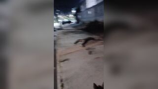 Dog Walker Stumbles Upon Headless Corpse