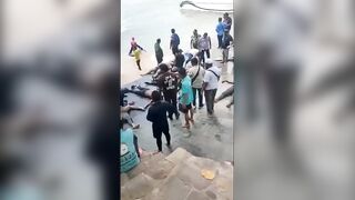 15 Indian tourists killed after boat capsizes in Vietnam