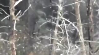4 Russhits suicides.