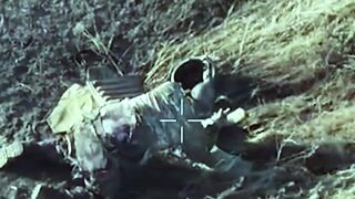 4 Russhits suicides.