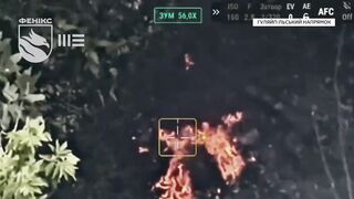 Phoenix Unit kills Russians. Weekly compilation 2