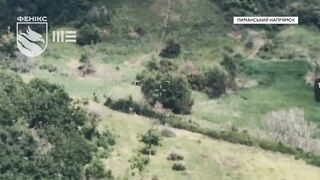 Phoenix Unit kills Russians. Weekly compilation 2