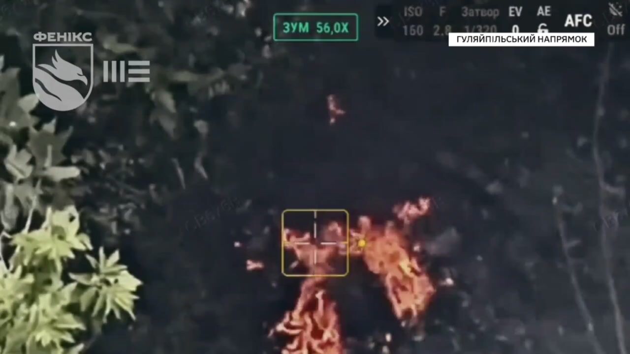 Phoenix Unit kills Russians. Weekly compilation 2