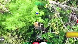 Dead Russians by 155th Brigade.