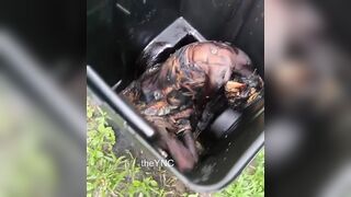 Chicago Woman Found In A Trash Can