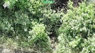 Failed Russian attack in the Kharkiv region.