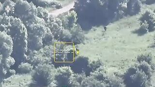 Failed Russian attack in the Kharkiv region.