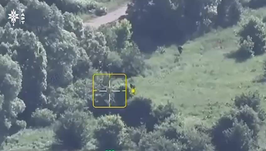 Failed Russian attack in the Kharkiv region.