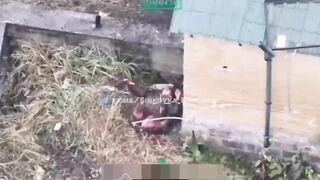 Colombian merc crying after losing his legs (Like a bitch)
