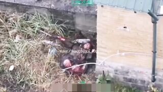 Colombian merc crying after losing his legs (Like a bitch)
