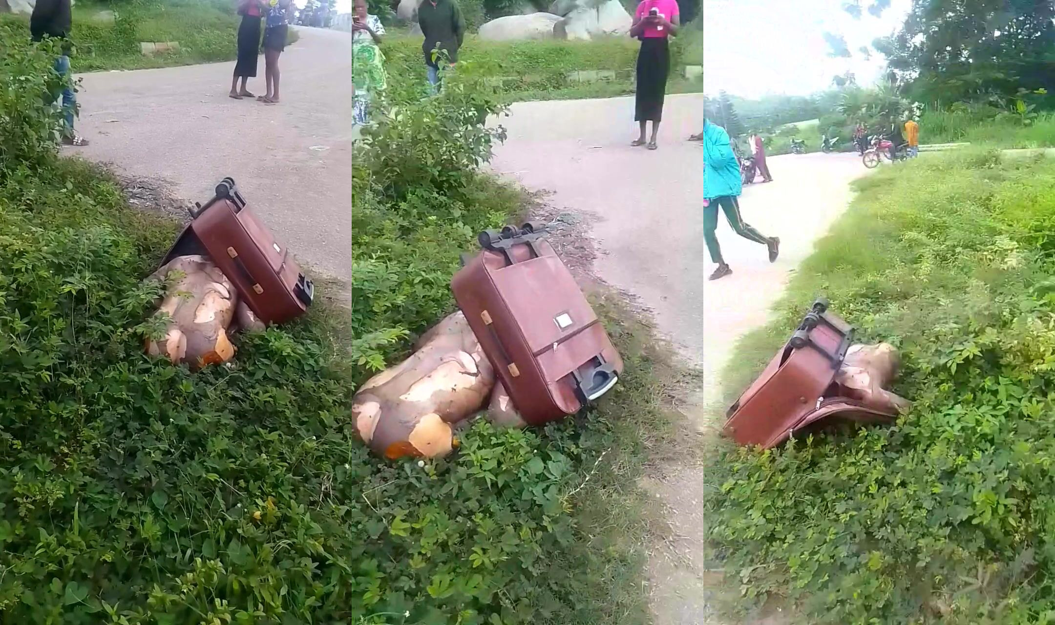 Body found dumped in suitcase