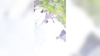 Group Of Pilgrims Hit By Truck, Three Women Killed