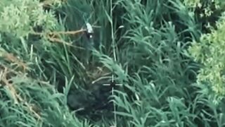 Dead Russians in the swamp by Forpost.