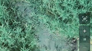 Dead Russians in the swamp by Forpost.