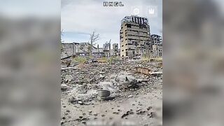Dirty katsap tried to runaway from ambush drone, but failed