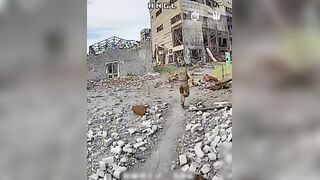 Dirty katsap tried to runaway from ambush drone, but failed