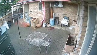 Man commits suicide by shooting himself in the head twice with the first shot failing