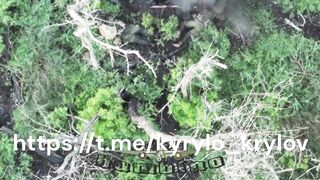 Ukrainian drone operator Kyrylo Krylov’s recent work against Russian troops