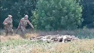 Sometimes life in Russia is cruel or who knows?