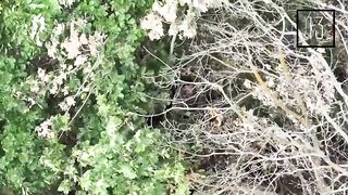 20 Ukrainians killed in their trench.