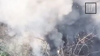 20 Ukrainians killed in their trench.