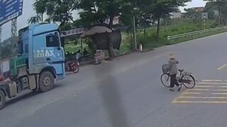 Elderly Woman Gets Crushed To Death By Truck