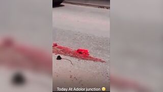 Man Vomits Own Intestines After Being Run Ovewr By Truck