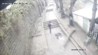 Tree Branch Collapse Leaves Man Injured