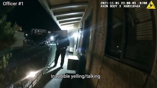 Police Shootings Compilation