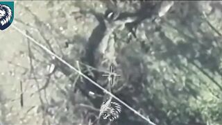 Three Russian friends came under artillery fire.