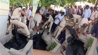 Video From India That Stinks